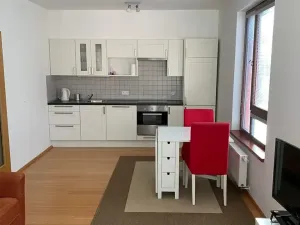 Pronájem bytu 1+kk, Praha - Žižkov, Baranova, 40 m2