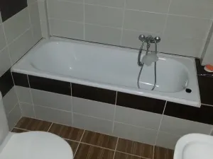 Pronájem bytu 2+kk, Praha - Žižkov, Hartigova, 54 m2