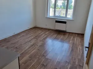 Pronájem bytu 2+kk, Praha - Žižkov, Hartigova, 54 m2
