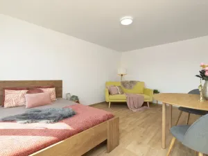 Prodej bytu 1+1, Ostrava - Moravská Ostrava, Nádražní, 30 m2