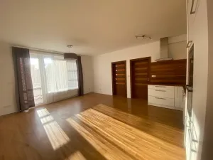 Pronájem bytu 3+kk, Praha - Černý Most, Bergmanova, 56 m2