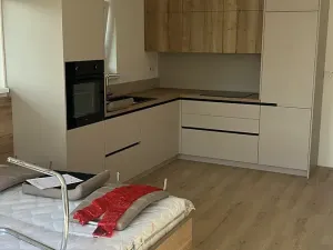 Pronájem bytu 1+kk, Oslavany, Letkovská, 44 m2