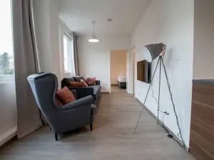 Pronájem bytu 2+kk, Praha - Vinohrady, Perucká, 40 m2