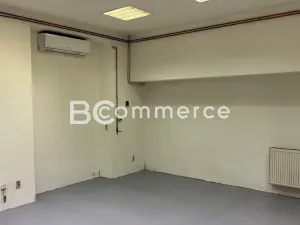 Pronájem výrobních prostor, Brno, 698 m2