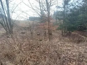Prodej pozemku, Načeradec, 2315 m2
