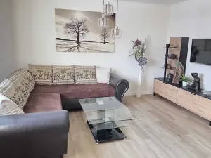 Dražba rodinného domu, Tábor, 300 m2