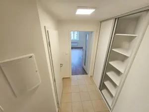Pronájem bytu 3+kk, Praha - Žižkov, Rokycanova, 60 m2
