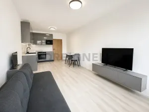 Pronájem bytu 1+kk, Brno, Dornych, 32 m2