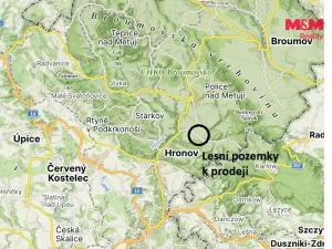 Prodej louky, Vysoká Srbská, 26000 m2