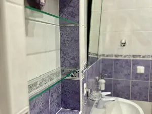 Pronájem rodinného domu, Bašť, Za Vilou, 300 m2