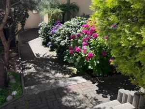 Pronájem bytu 4+kk, Mariánské Lázně, Hlavní třída, 118 m2