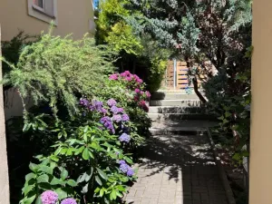 Pronájem bytu 4+kk, Mariánské Lázně, Hlavní třída, 118 m2