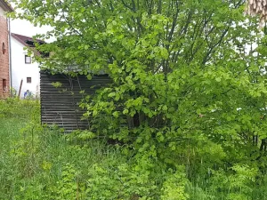 Prodej rodinného domu, Nová Paka, Na Vyhlídce, 160 m2