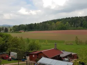 Prodej rodinného domu, Nová Paka, Na Vyhlídce, 160 m2