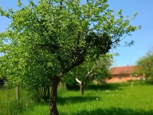 Prodej rodinného domu, Šenov, Datyňská, 250 m2
