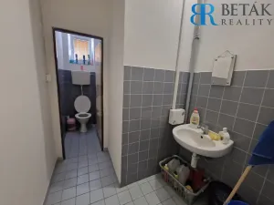 Prodej obchodního prostoru, Horní Moštěnice, 9. května, 1200 m2