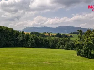 Prodej louky, Frýdlant nad Ostravicí - Lubno, 9244 m2