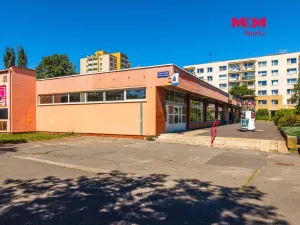 Prodej obchodního prostoru, Český Těšín, Slezská, 900 m2