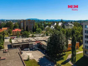 Prodej obchodního prostoru, Český Těšín, Slezská, 900 m2