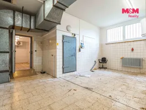 Prodej obchodního prostoru, Český Těšín, Slezská, 900 m2