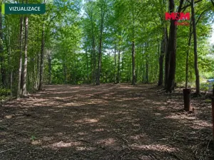 Prodej pozemku pro bydlení, Řepiště, 3402 m2