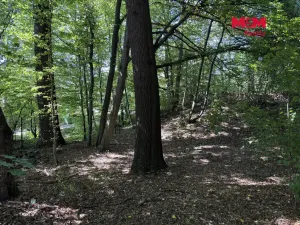 Prodej pozemku pro bydlení, Řepiště, 3402 m2
