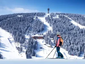 Prodej bytu 2+kk, Loučná pod Klínovcem, 61 m2