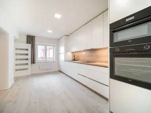 Prodej bytu 1+1, Brno, Cejl, 50 m2