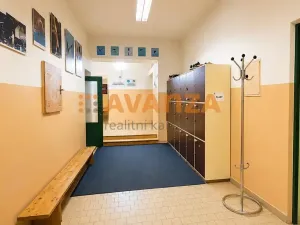 Prodej komerční nemovitosti, Děčín, Riegrova, 1200 m2