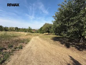 Prodej zahrady, Nížkovice, 1427 m2