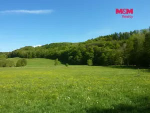 Prodej louky, Náchod, 13200 m2