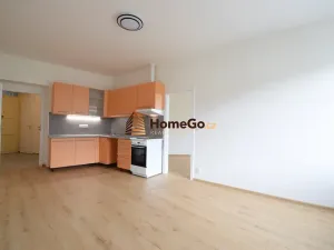 Pronájem bytu 2+kk, Praha - Nusle, Žateckých, 50 m2