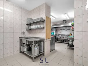 Prodej ubytování, Mikulášovice, 919 m2