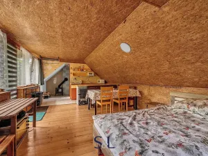 Prodej vícegeneračního domu, Horní Planá, 200 m2