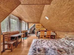Prodej vícegeneračního domu, Horní Planá, 200 m2