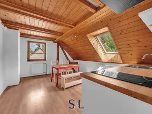 Prodej vícegeneračního domu, Horní Planá, 200 m2