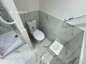 Prodej bytu 2+1, Teplice, Alejní, 54 m2