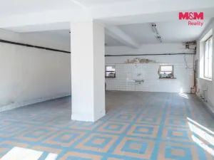 Prodej výrobních prostor, Kolinec, 2640 m2