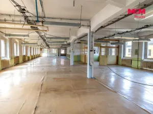 Prodej výrobních prostor, Kolinec, 2640 m2