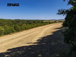 Prodej chaty, Zdemyslice, 64 m2