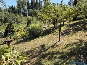 Prodej chaty, Vysoké Mýto, Spálenec, 37 m2