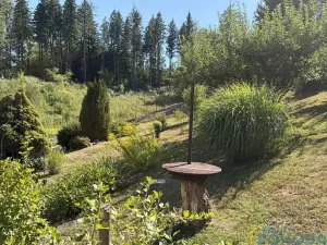 Prodej chaty, Vysoké Mýto, Spálenec, 37 m2