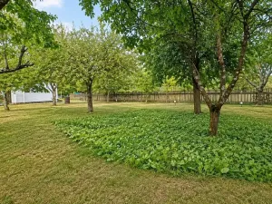 Prodej pozemku pro bydlení, Žernovník, 836 m2
