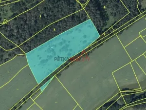 Prodej louky, Neveklov, 12084 m2