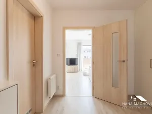 Pronájem bytu 1+kk, Brno, Kigginsova, 37 m2