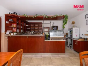 Prodej ubytování, Brandýs nad Orlicí, Husova, 340 m2