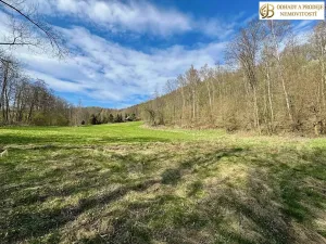 Prodej pozemku pro bydlení, Libina, 8112 m2