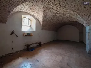Prodej zemědělské usedlosti, Vlasatice, 5889 m2