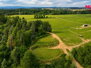 Pronájem komerčního pozemku, Planá, 33448 m2