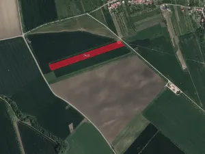 Prodej podílu pole, Lipov, 40752 m2
